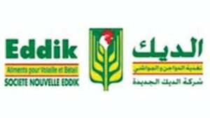 logo eddik
